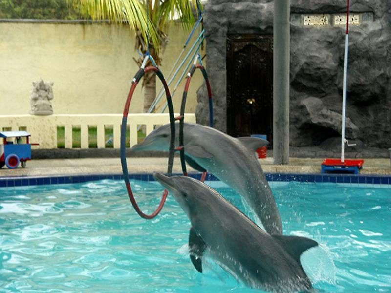 Oyo 2334 Melka Excelsior Hotel Singaraja Eksteriør bilde